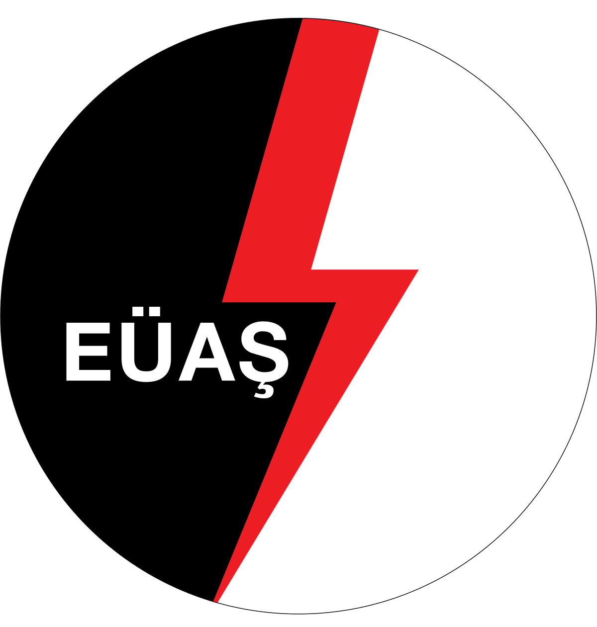 EÜAŞ (Elektrik Üretim Anonim Şirketi)